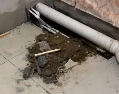盘山卫生间漏水检测哪家好